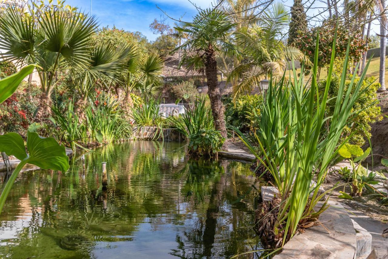 Tetuan 40 Oasis