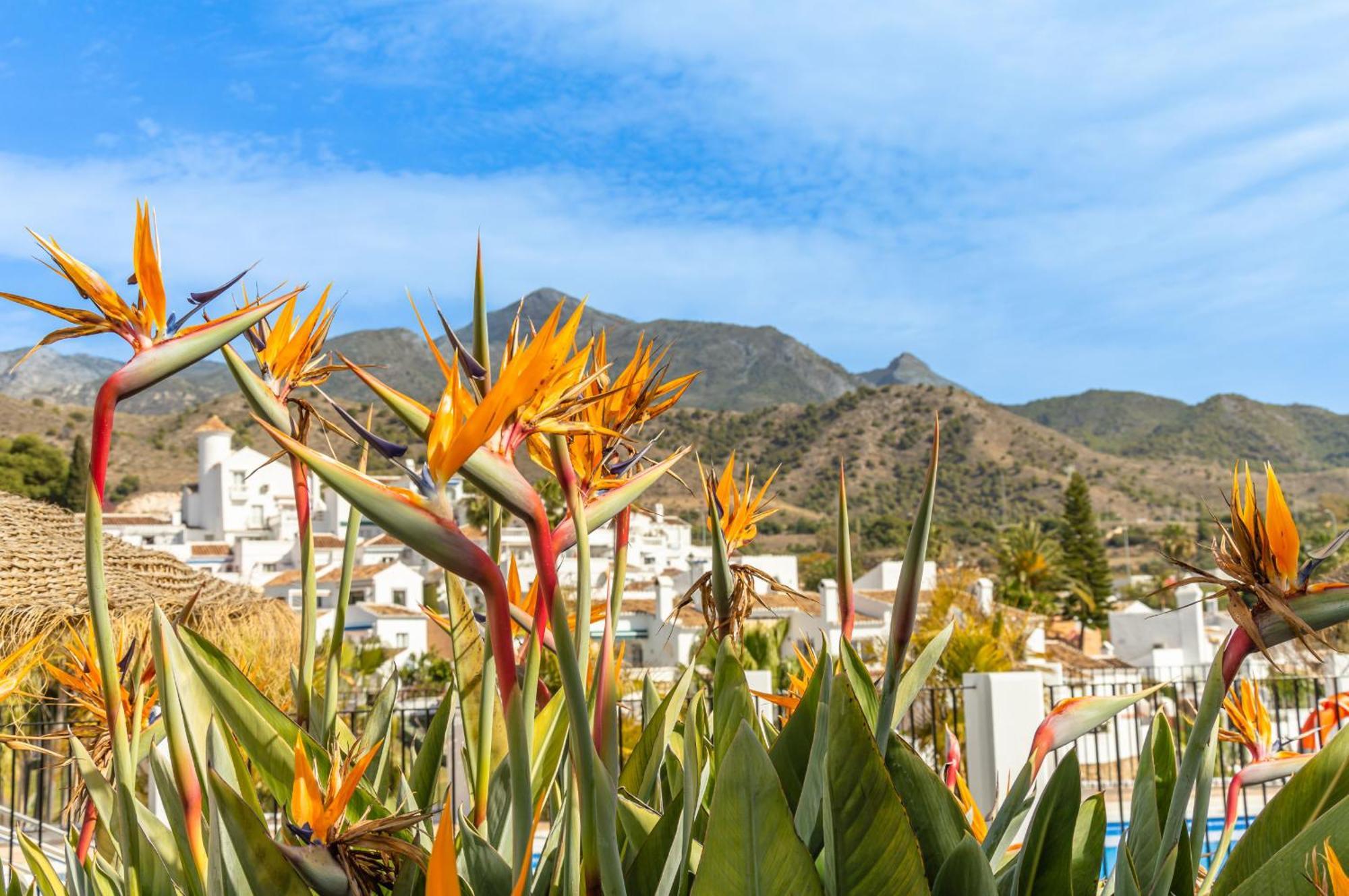 Tetuan 40 Oasis Hébergement de vacances Nerja
