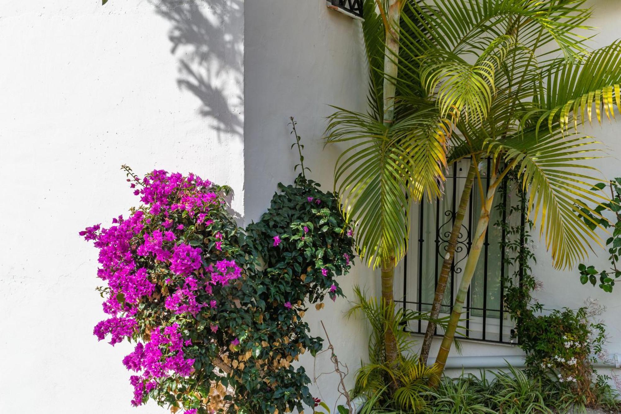 Tetuan 40 Oasis Hébergement de vacances Nerja