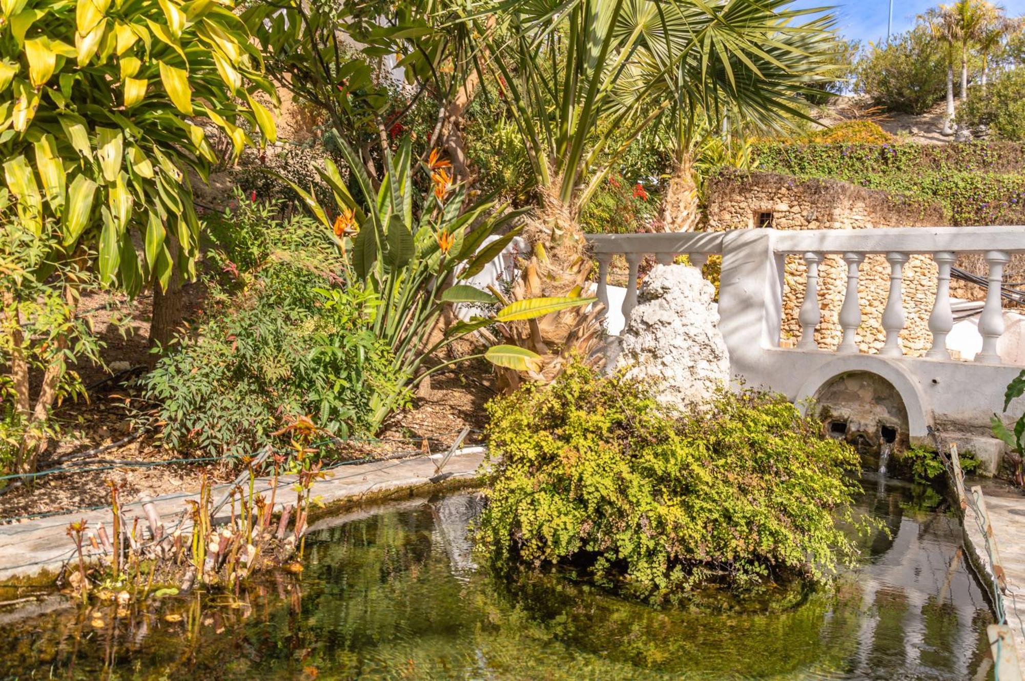 Tetuan 40 Oasis Nerja