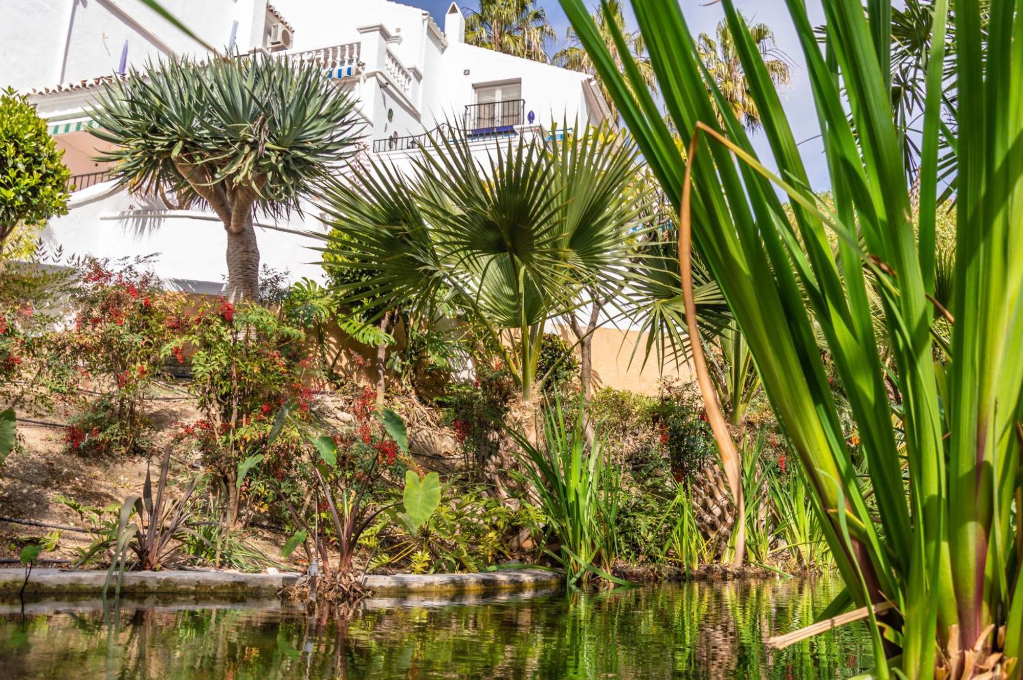 Tetuan 40 Oasis Nerja