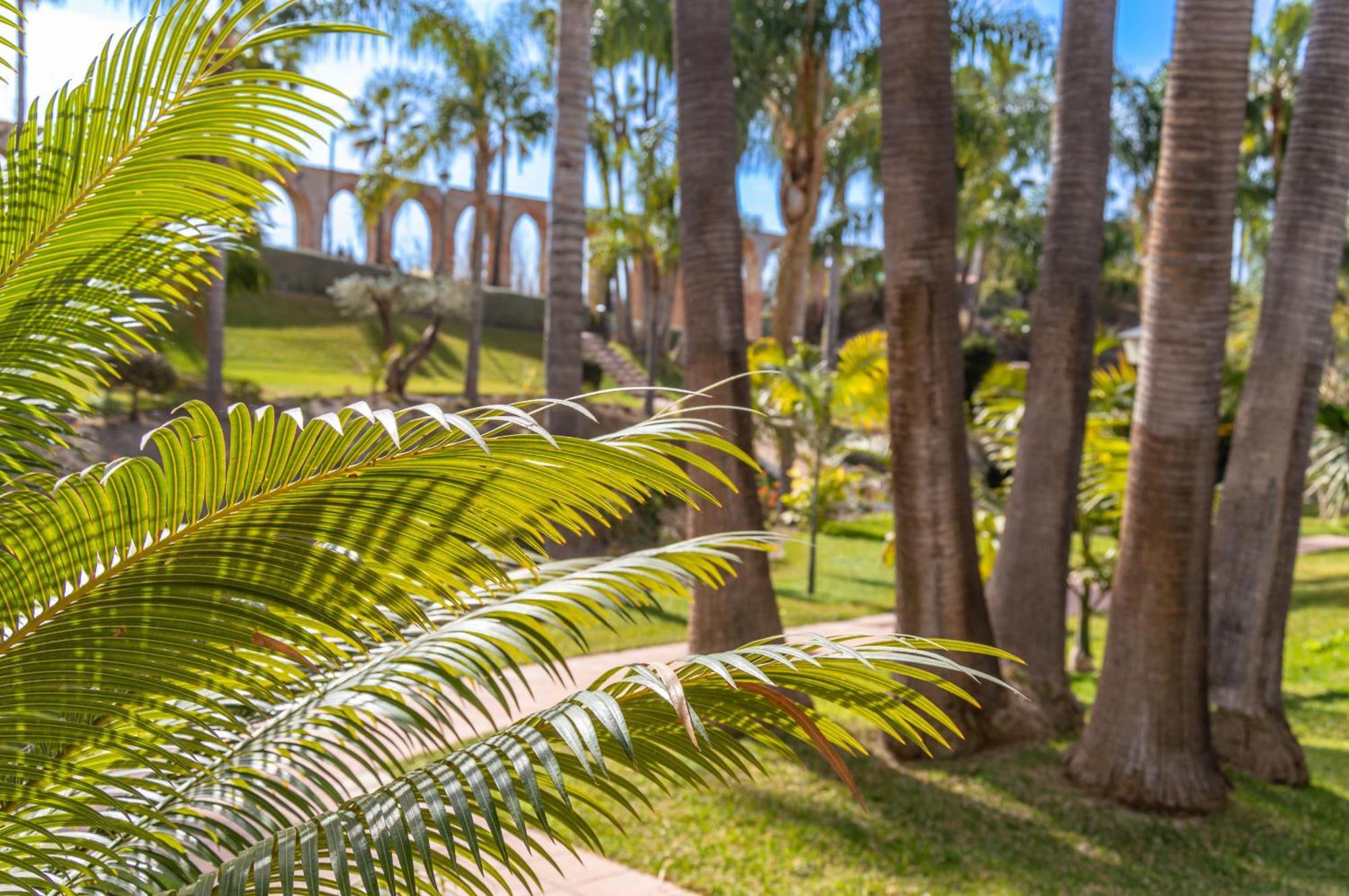 Tetuan 40 Oasis